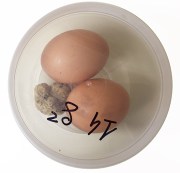 truffle_tagliolini_pasta_recipe_1