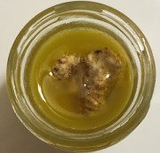 truffle tagliolini pasta recipe 4