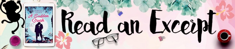 Romantic Comedy chick Lit Book - A Sudden Crush by Camilla Isley